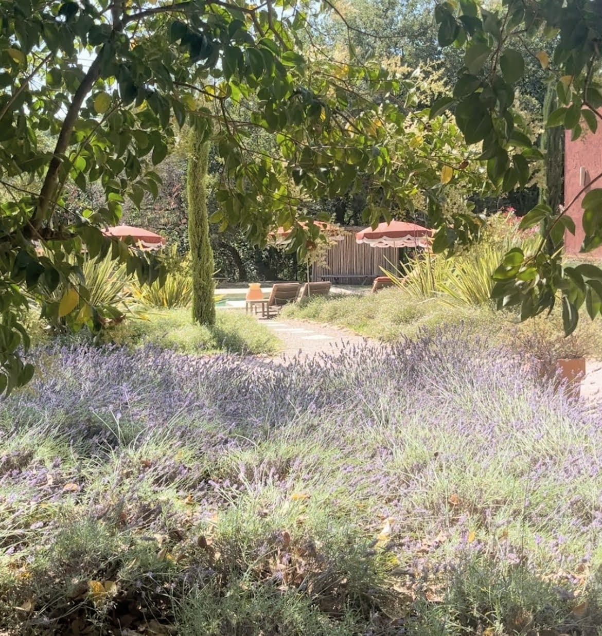 20,000m² of Silence: The Garden as a Living Medium