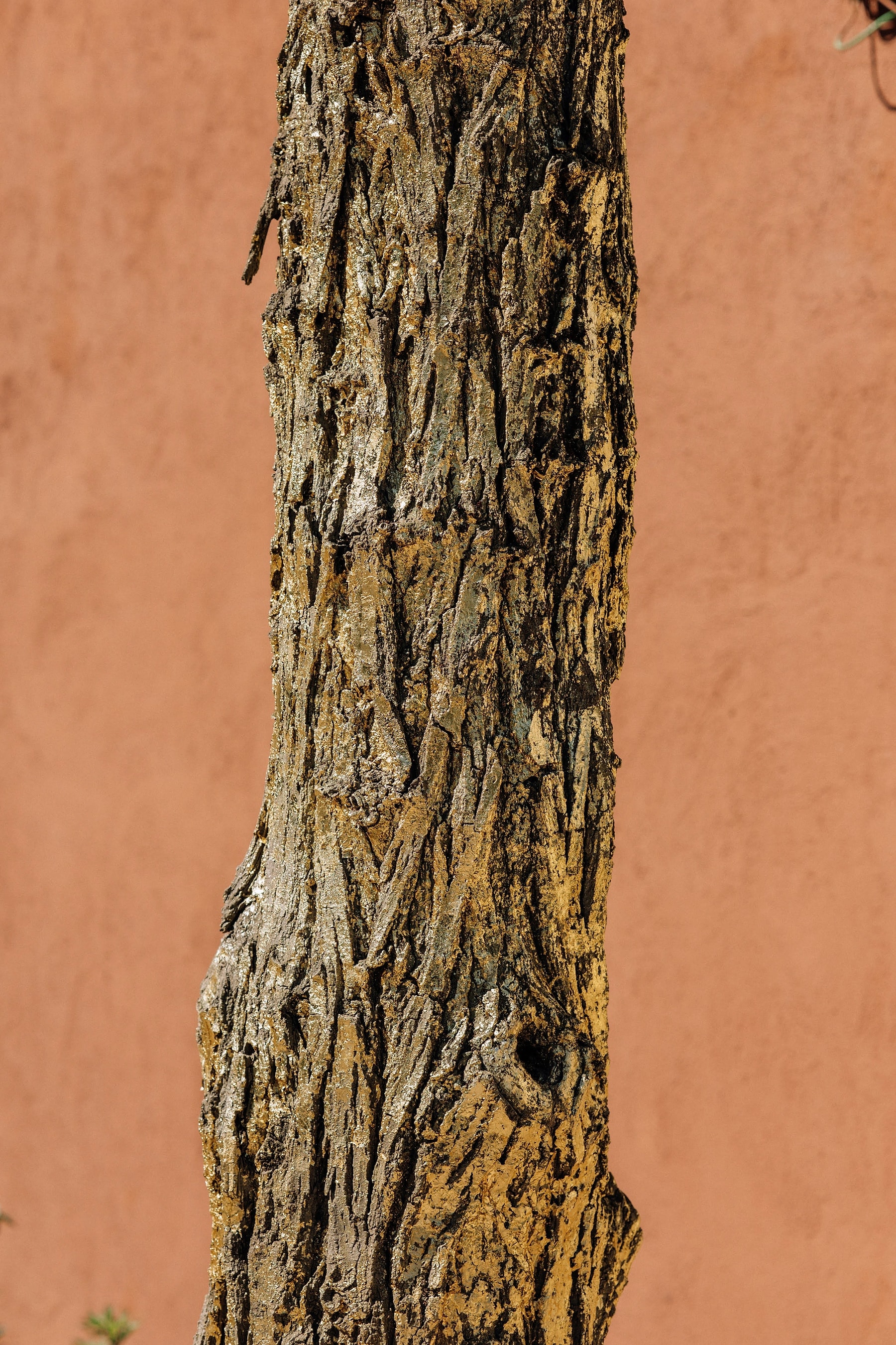 Art at Toile Blanche