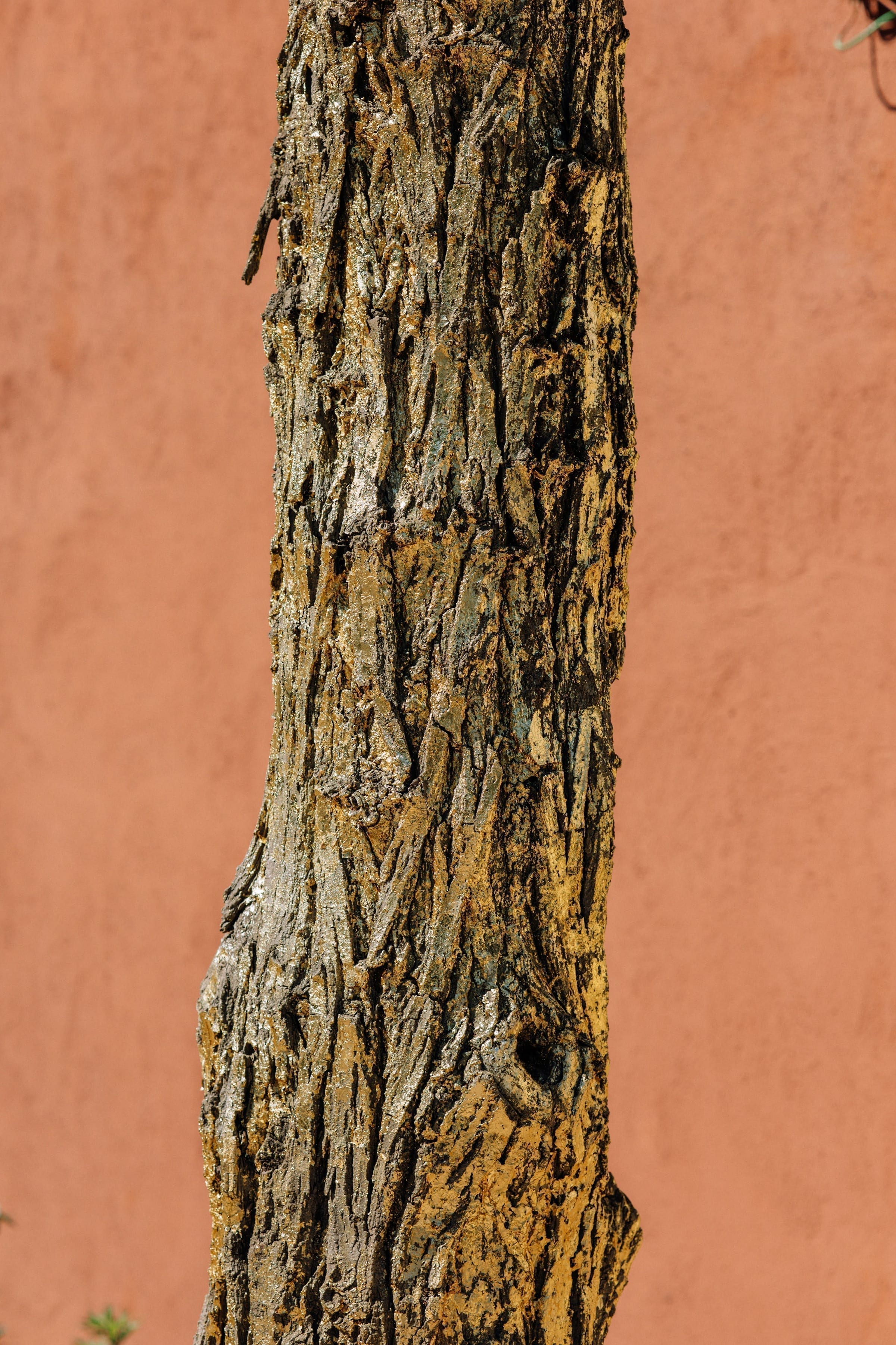 Toile Blanche sculpture gardens