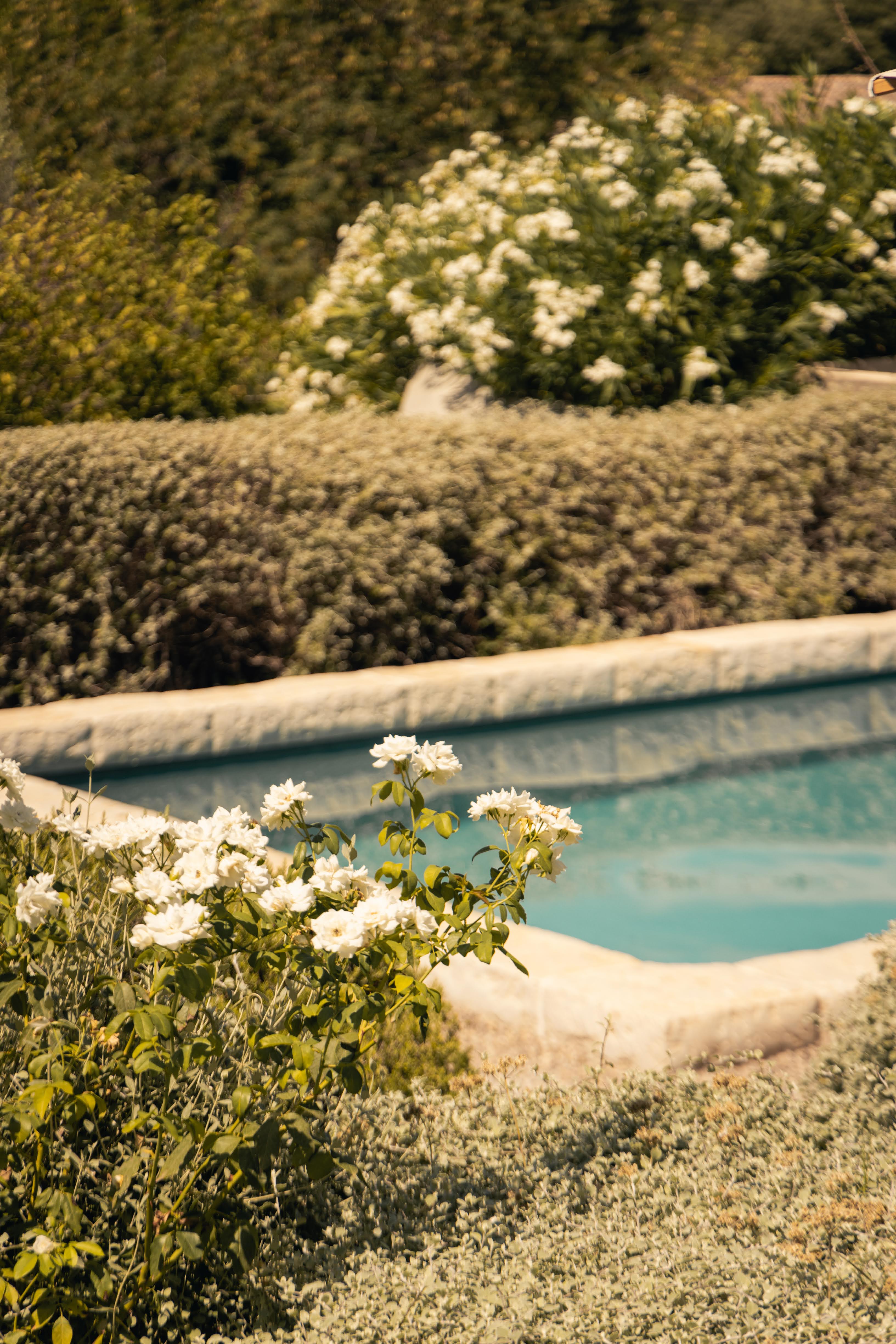 Breakfast spread at Toile Blanche