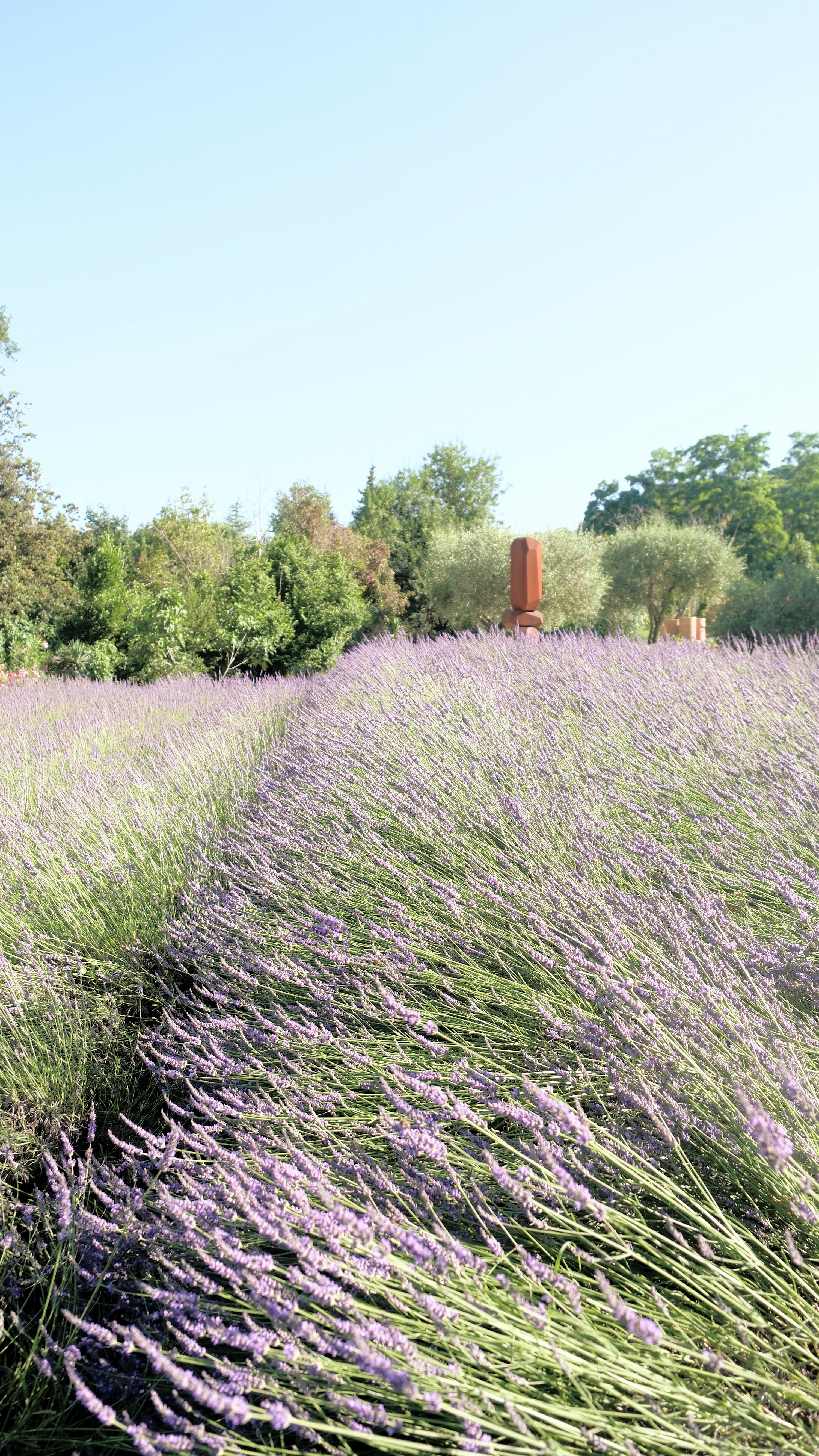 Morning at Toile Blanche