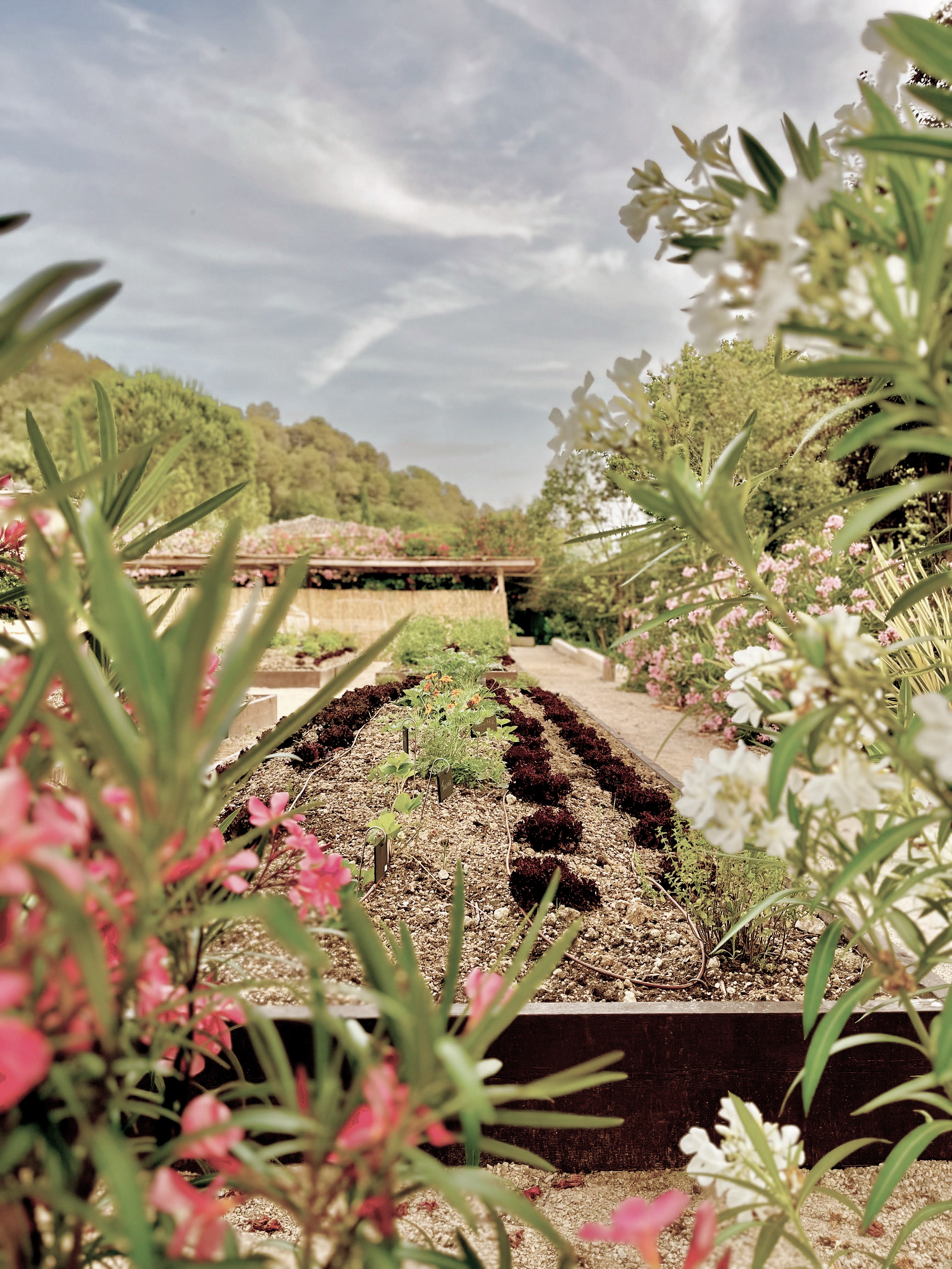 The Garden at Toile Blanche