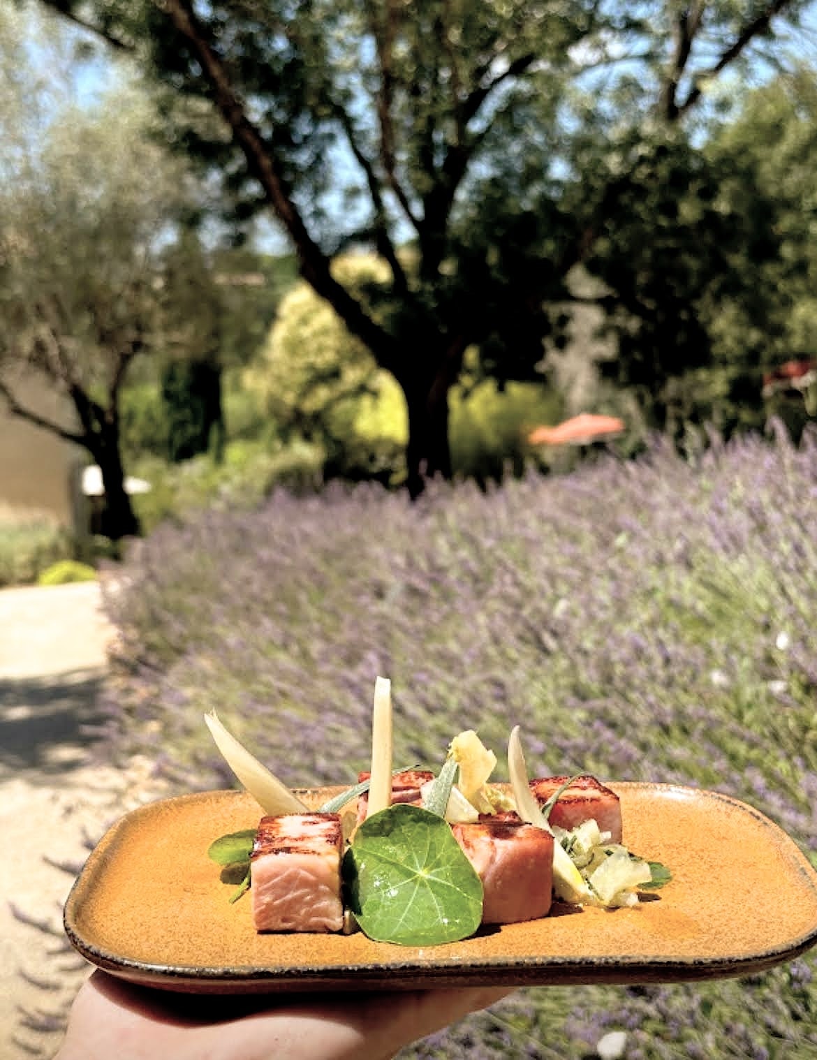 Déjeuner au bord de la piscine à La Guinguette
