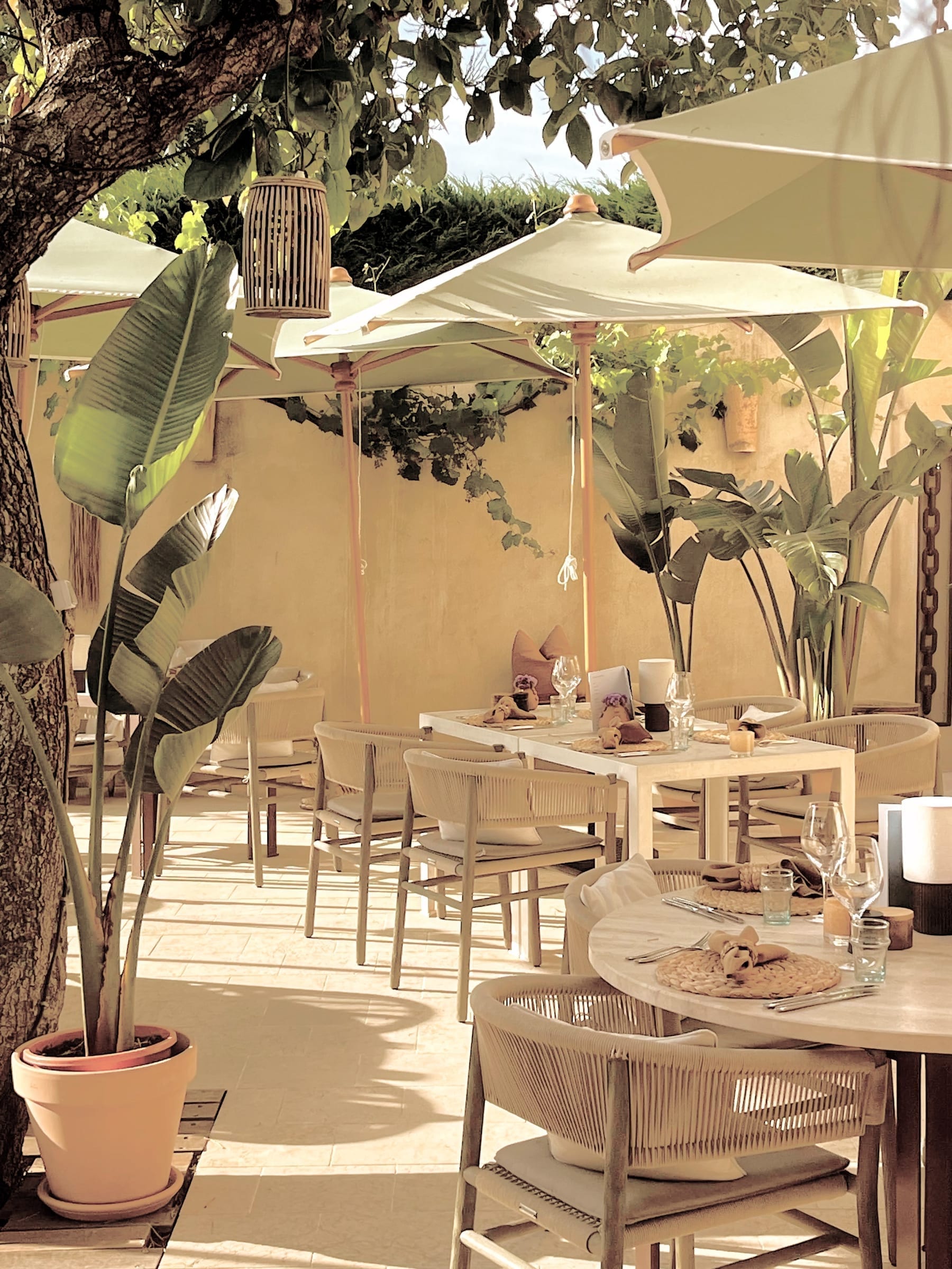 Dinner at Le Restaurant